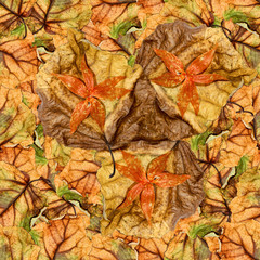 seamless background pattern texture of  huge leaves of poplar wi