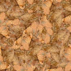 seamless background pattern texture of  huge leaves of poplar