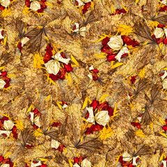 seamless background pattern texture of  huge leaves of poplar wi