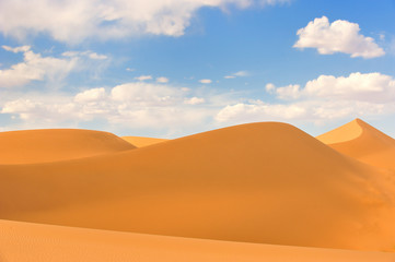 Fototapeta na wymiar desert sand, beautiful sand desert landscape at sunset 