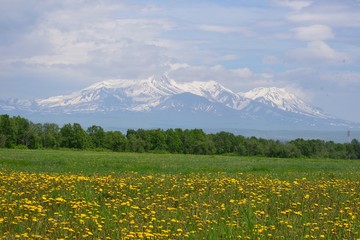 snow-covered mountains, snow-clad mountains and flower garden
