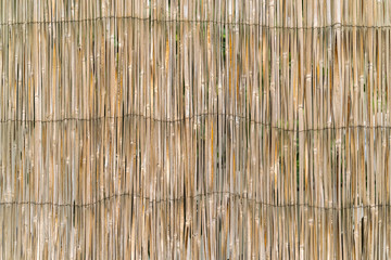 Wicker cane, background, texture