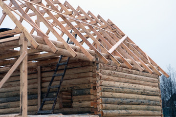log cabin, log home construction, dovetail; lug, frame