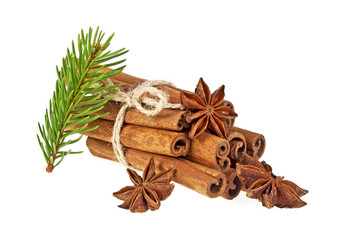 Fir tree branch, anise and cinnamon sticks isolated on white bac