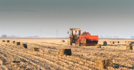 Fototapeta premium bale of soybean