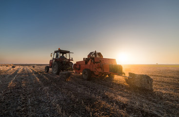 Fototapeta premium bale of soybean