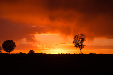 Sunset over agricultural green field - August 2016 - Italy, Bolo