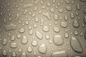 Drops of water on a color background. Gray. Shallow depth of fie