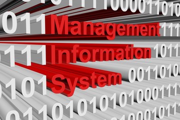 Management information system in the form of binary code, 3D illustration © profit_image