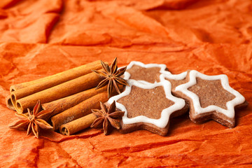 Christmas anise cookies with chocolate