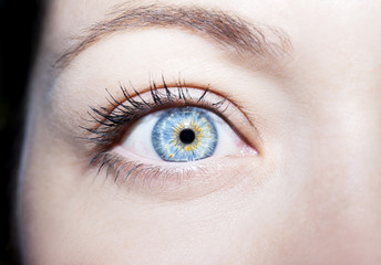 Beautiful insightful look blue woman's eye