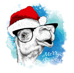 The christmas poster with the image camel portrait in Santa's hat. Vector illustration.