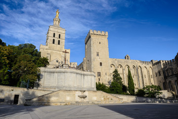 Avignon Cathedral and the Palais des Papes, Avignon in southeast France