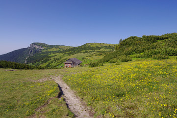 summer landscape in Romania