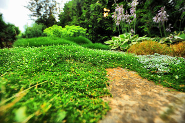 Obraz premium landscape design