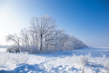 Fototapeta na wymiar winter landscape with trees covered by hoarfrost