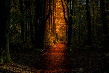 Automne