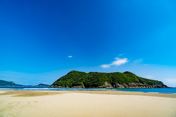 日南海岸　幸島