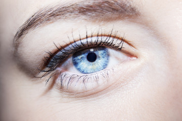Beautiful insightful look blue woman's eyes