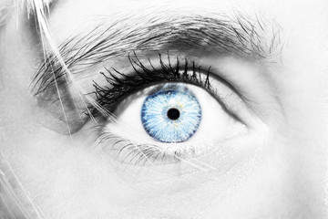 Beautiful insightful look women's blue eye