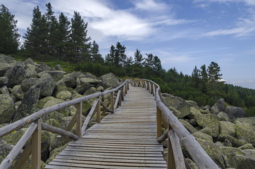Fototapeta premium Unique stone river with big granite stones or moraine and wooden bridge in the Vitosha National Park Mountain , Bulgaria 