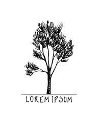 Obraz premium Hand drawn tree