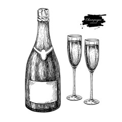 Champagne bottle and glass. Hand drawn isolated illustrat