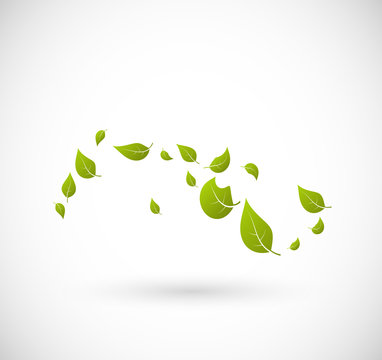 Leaves flying with the wind vector