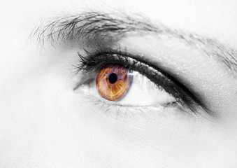 Beautiful insightful look brown woman's eye