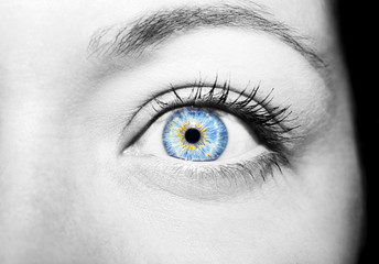 Beautiful insightful look blue woman's eye