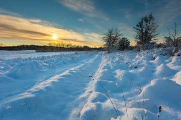 Snow covered polish landscape with rural road near fields and forest.