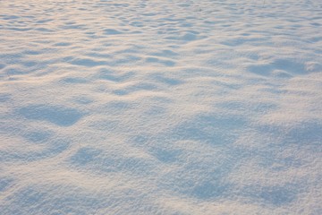 Close up of fresh snow lying on field