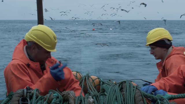 Crew of Fishermen Work on Commercial Fishing Ship that Pulls Trawl Net.  Shot on RED Cinema Camera in 4K (UHD). 