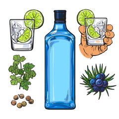 Gin bottle, shot glass with ice and lime, juniper berries, parsley, cardamom, sketch vector illustration isolated on white background. hand drawn gin bottle, shot glass and cocktail ingredients - obrazy, fototapety, plakaty