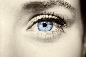 Beautiful insightful look blue woman's eyes