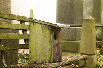Bird feeder in the cemetery