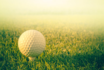 Golf ball on tee close-up on green with blur background and place for your text. Lifestyle and leisure in golf clubs style.