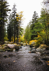 Verlobungsinsel Im Fluss Oker im Harz