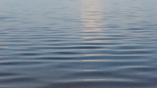 Small vaves on the river. Beautiful tranquil background with ripple.