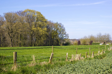 Fototapeta na wymiar Fence in a meadow in a rural area of Lower Rhine