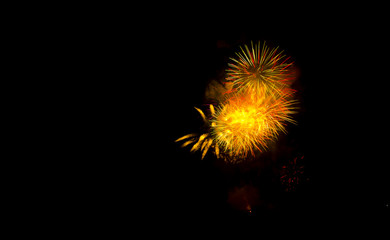 Fototapeta premium Fireworks Show