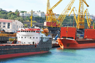 Bulk cargo ship under port crane