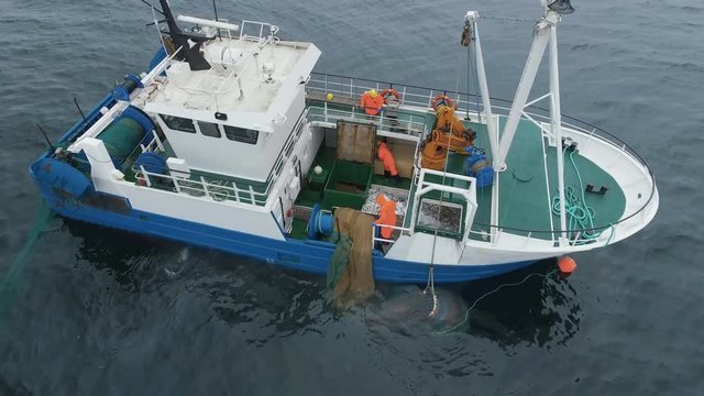 Aerial Shot of a Commercial Ship Fishing with Trawl Net at the Sea. Shot on RED Cinema Camera in 4K (UHD). 