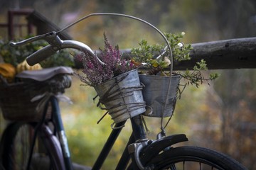 autumn spirits