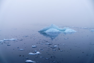 Fototapeta na wymiar huge icebergs on the arctic ocean in Greenland
