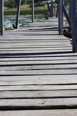 Old wood bridge in water in the summer.