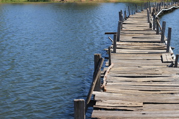 Old wood bridge in water in the summer.