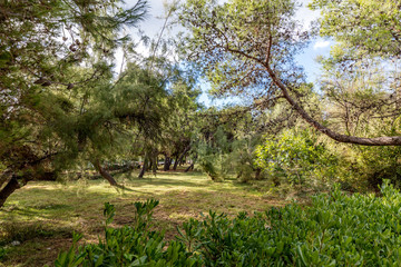 Gartenanlage in Kroatien