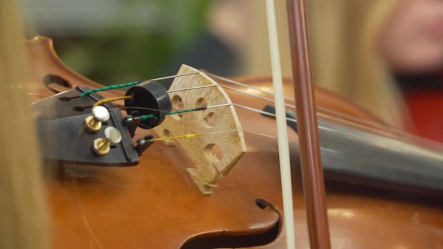 Close-up of musician playing at violin