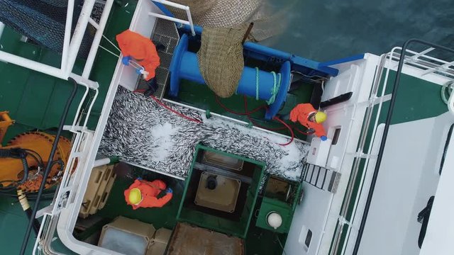 Flying Over a Commercial Fishing Ship where People processing the Fish. Top down view.  Shot on RED Cinema Camera in 4K (UHD). 